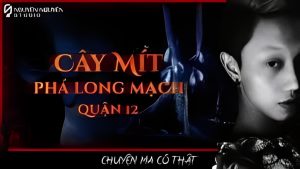 CÂY MÍT TRẤN LONG MẠCH Ở QUẬN 12 || chuyện tâm linh ở khu vườn lài