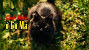 Linh Miêu Ở Gò Mả – Dấu Vết Âm Linh Trên Mảnh Đất Hoang